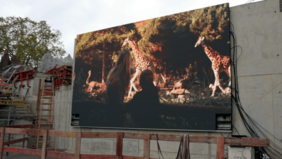 3D-Videowand Leipzig